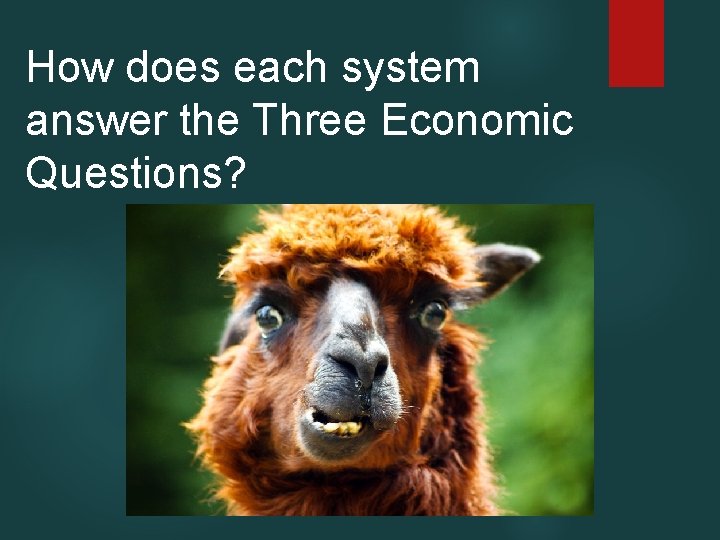 How does each system answer the Three Economic Questions? 