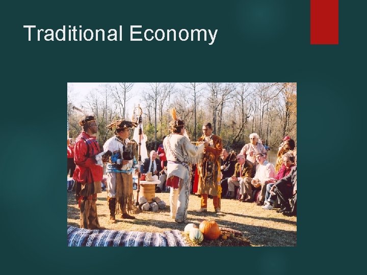 Traditional Economy 