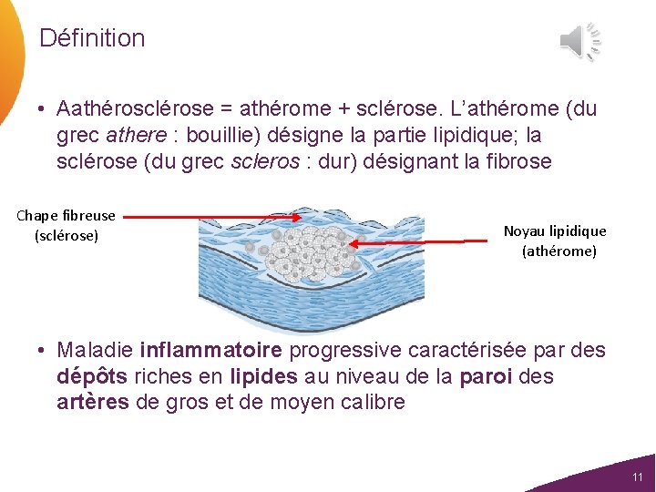 Définition • Aathérosclérose = athérome + sclérose. L’athérome (du grec athere : bouillie) désigne