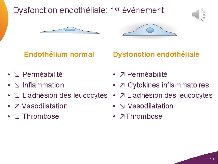 Dysfonction endothéliale: 1 er événement Endothélium normal • • • ↘ Perméabilité ↘ Inflammation