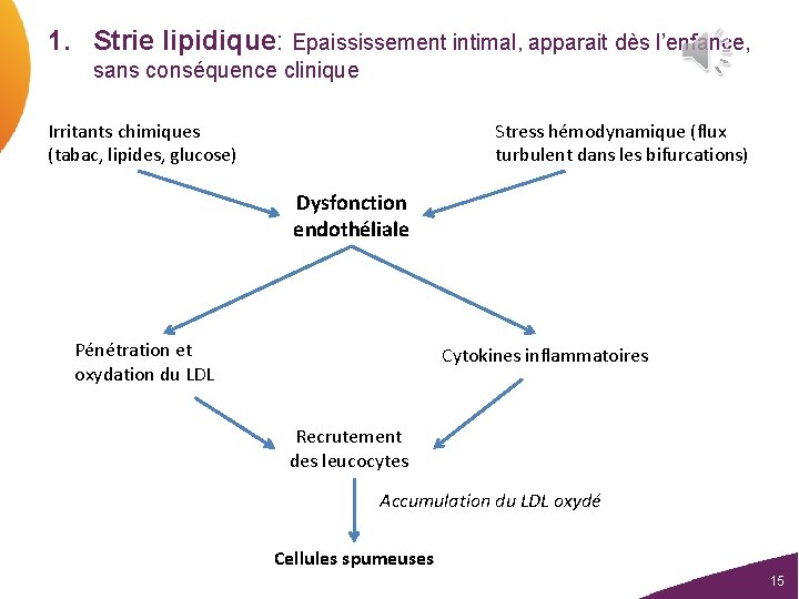 1. Strie lipidique: Epaississement intimal, apparait dès l’enfance, sans conséquence clinique Irritants chimiques (tabac,