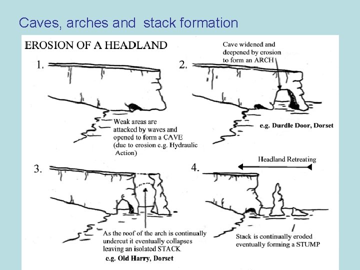 Coasts The Essentials How do land processes shape