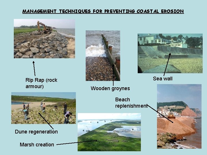 MANAGEMENT TECHNIQUES FOR PREVENTING COASTAL EROSION Rip Rap (rock armour) Sea wall Wooden groynes MANAGEMENT TECHNIQUES FOR PREVENTING COASTAL EROSION Rip Rap (rock armour) Sea wall Wooden groynes