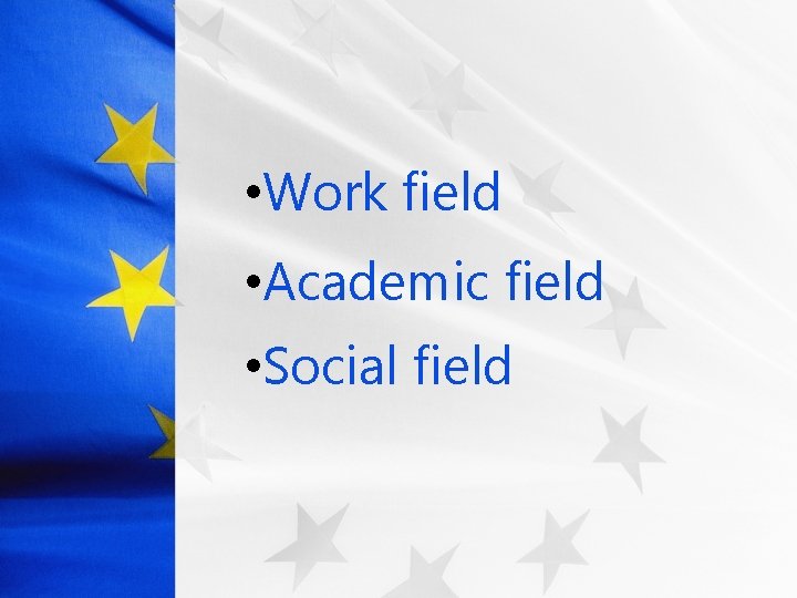  • Work field • Academic field • Social field 