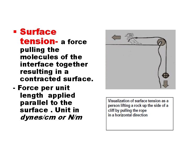  Surface tension- a force pulling the molecules of the interface together resulting in