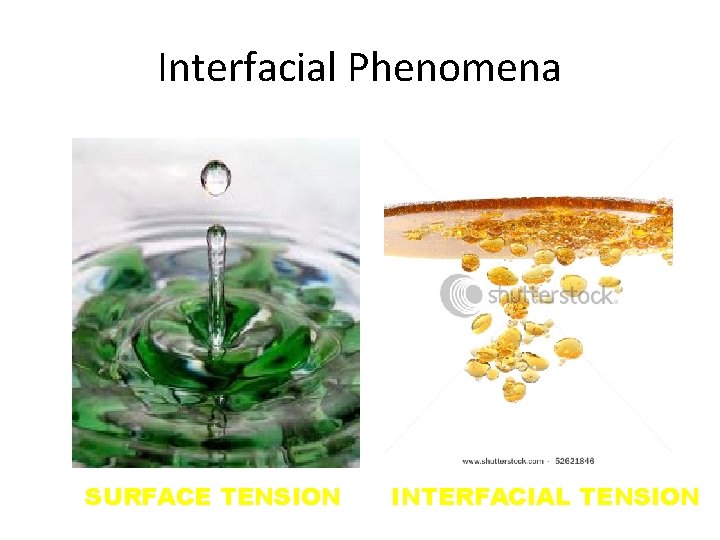 Interfacial Phenomena SURFACE TENSION INTERFACIAL TENSION 