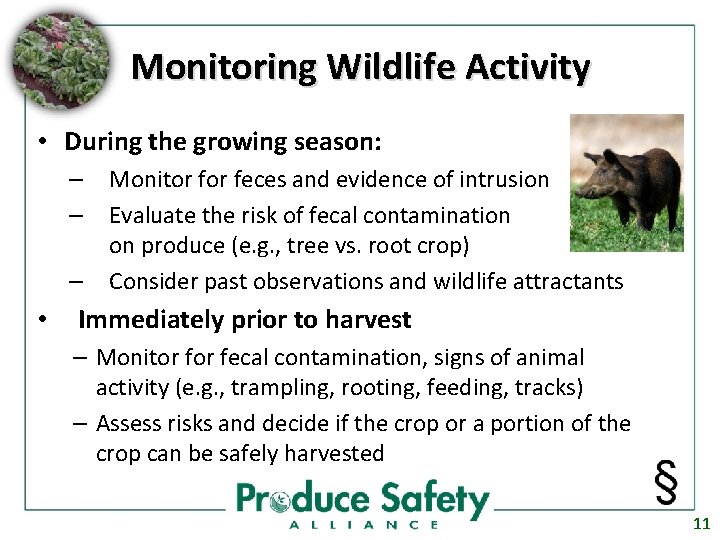 Monitoring Wildlife Activity • During the growing season: – – – • Monitor feces