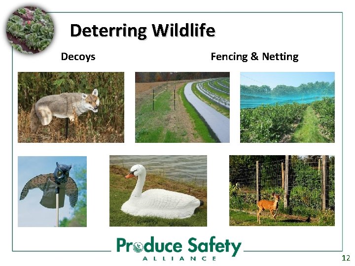 Deterring Wildlife Decoys Fencing & Netting 12 