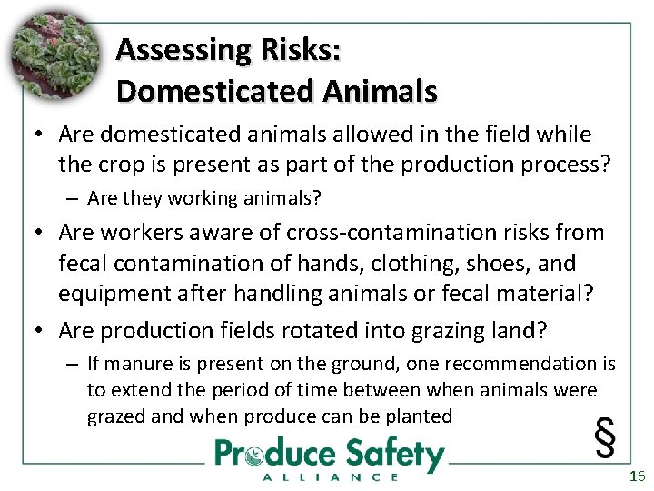 Assessing Risks: Domesticated Animals • Are domesticated animals allowed in the field while the