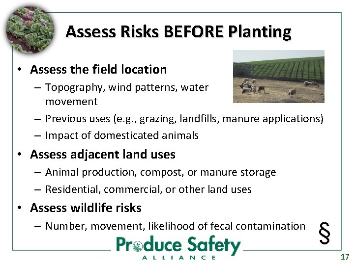 Assess Risks BEFORE Planting • Assess the field location – Topography, wind patterns, water