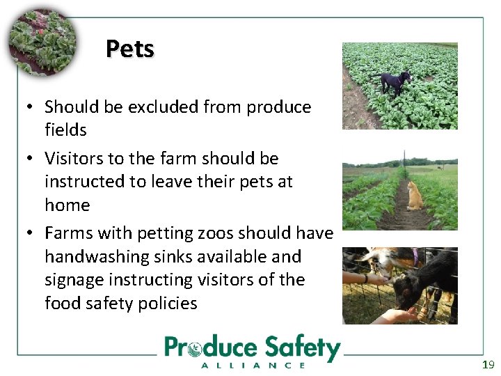 Pets • Should be excluded from produce fields • Visitors to the farm should