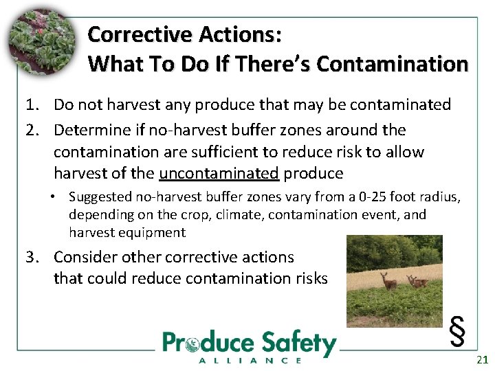 Corrective Actions: What To Do If There’s Contamination 1. Do not harvest any produce