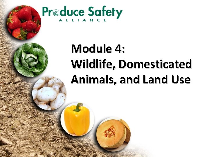 Module 4: Wildlife, Domesticated Animals, and Land Use 
