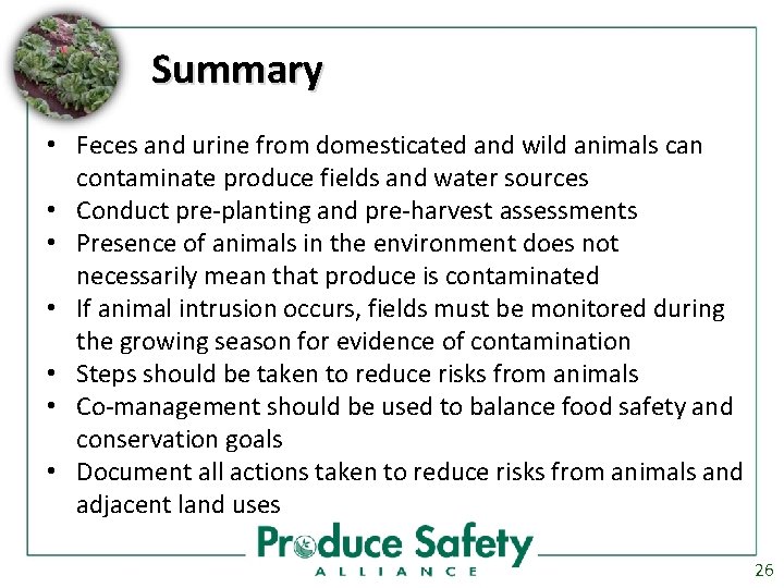 Summary • Feces and urine from domesticated and wild animals can contaminate produce fields