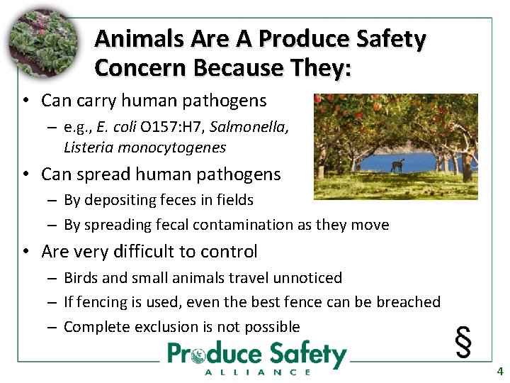 Animals Are A Produce Safety Concern Because They: • Can carry human pathogens –