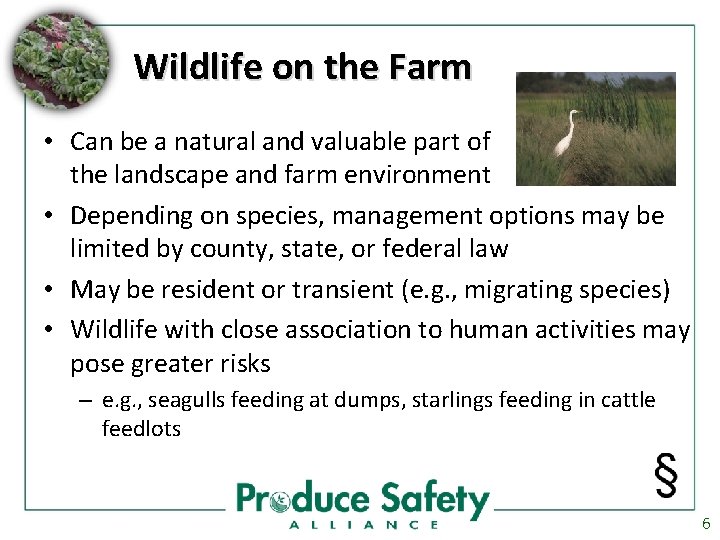 Wildlife on the Farm • Can be a natural and valuable part of the