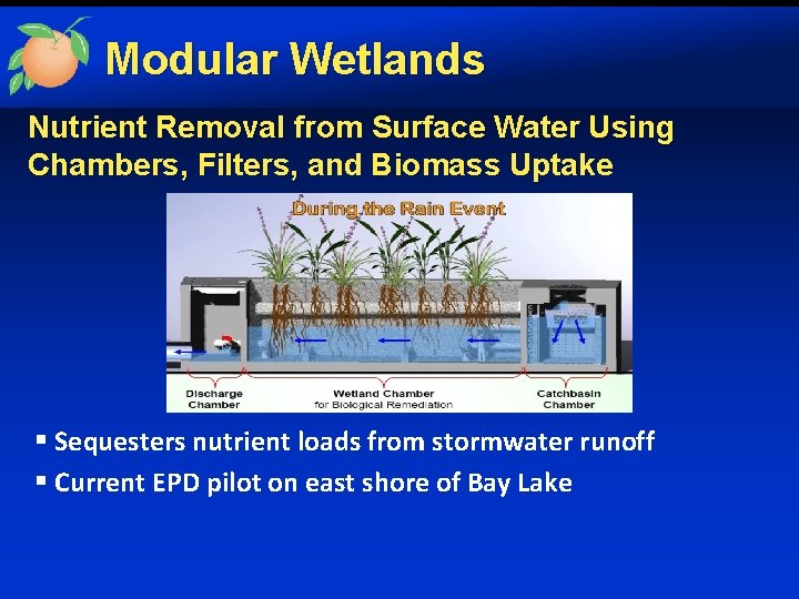 Modular Wetlands Nutrient Removal from Surface Water Using Chambers, Filters, and Biomass Uptake §