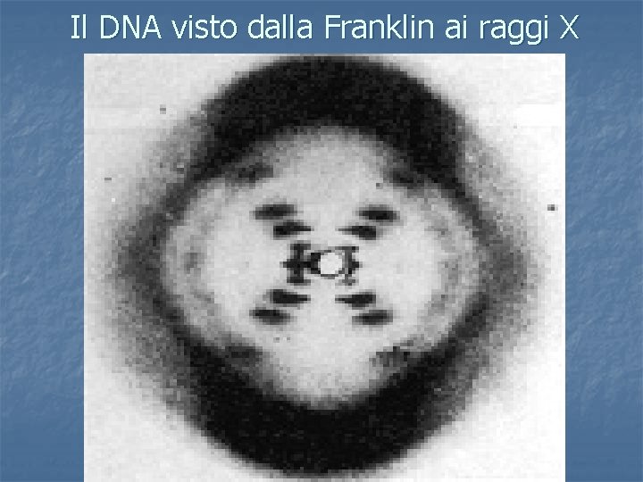 Il DNA visto dalla Franklin ai raggi X 