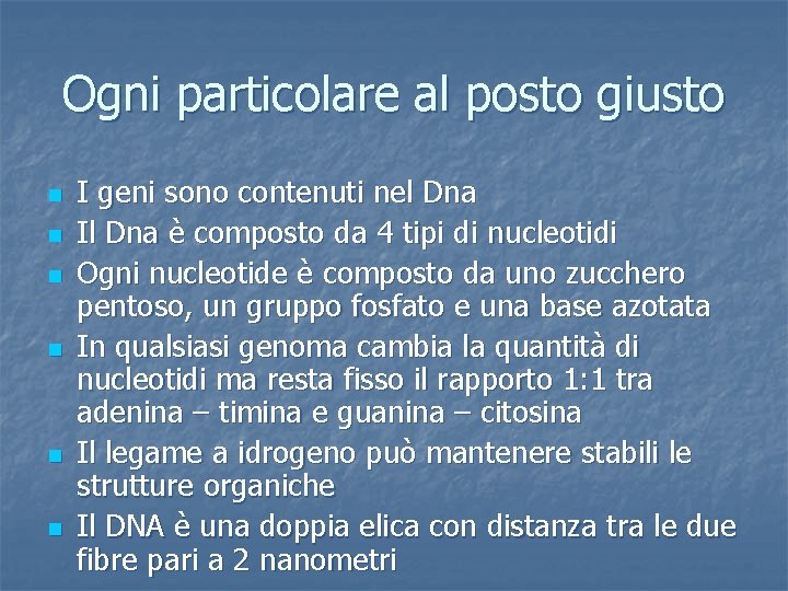 Ogni particolare al posto giusto n n n I geni sono contenuti nel Dna