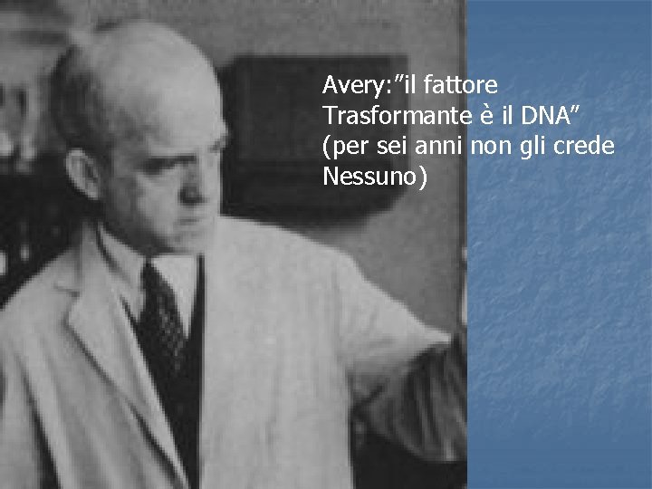 Avery: ”il fattore Trasformante è il DNA” (per sei anni non gli crede Nessuno)