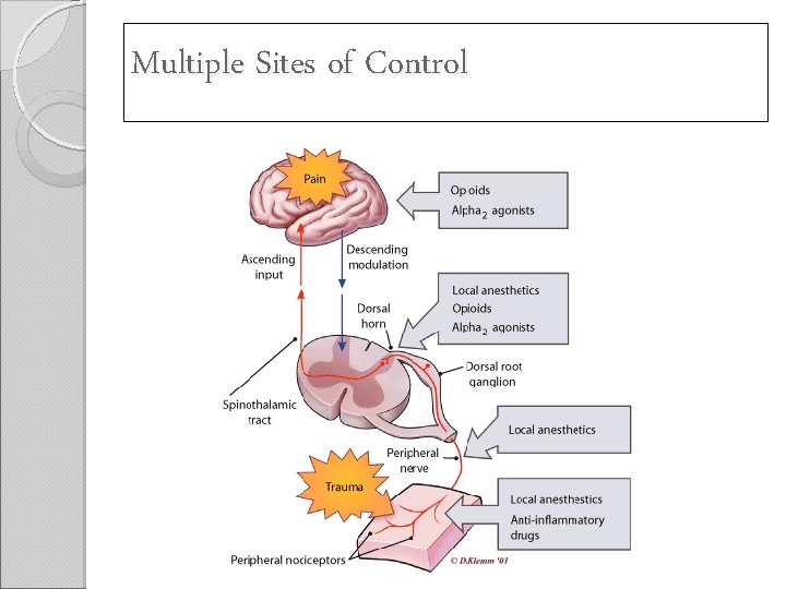 Multiple Sites of Control 