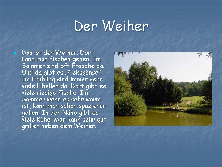 Der Weiher n Das ist der Weiher. Dort kann man fischen gehen. Im Sommer