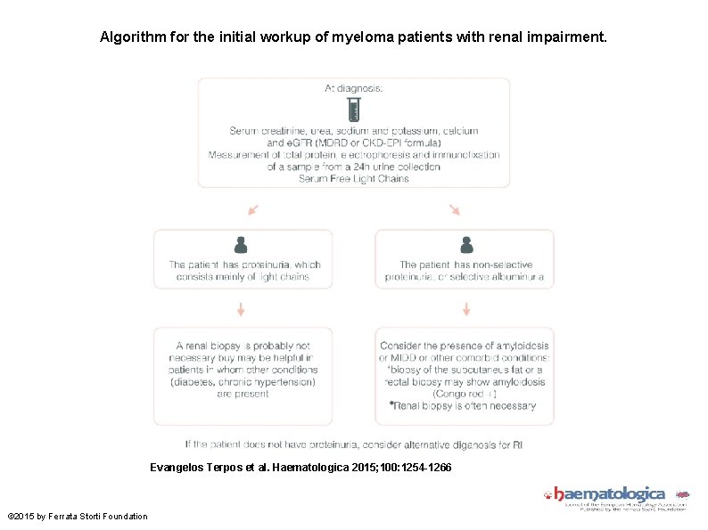 Algorithm for the initial workup of myeloma patients with renal impairment. Evangelos Terpos et