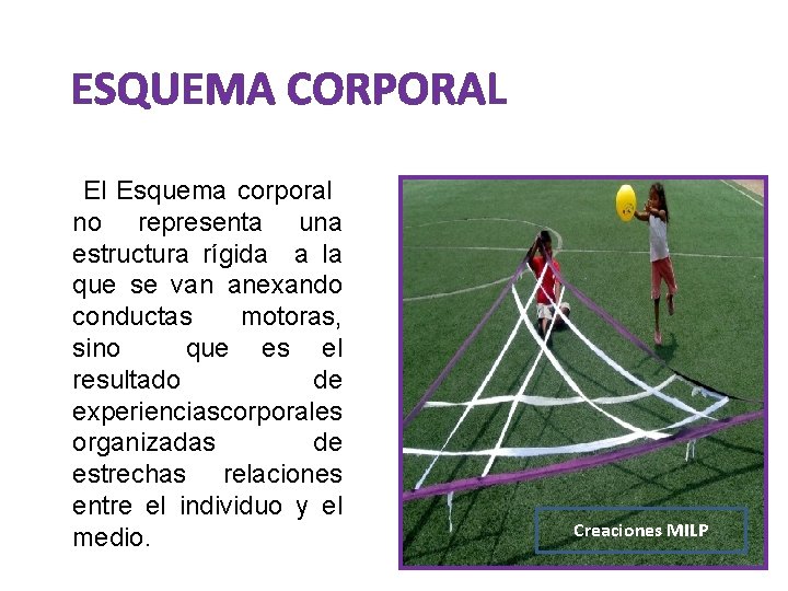 ESQUEMA CORPORAL El Esquema corporal no representa una estructura rígida a la que se