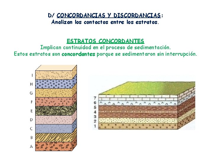D/ CONCORDANCIAS Y DISCORDANCIAS: Analizan los contactos entre los estratos. ESTRATOS CONCORDANTES Implican continuidad
