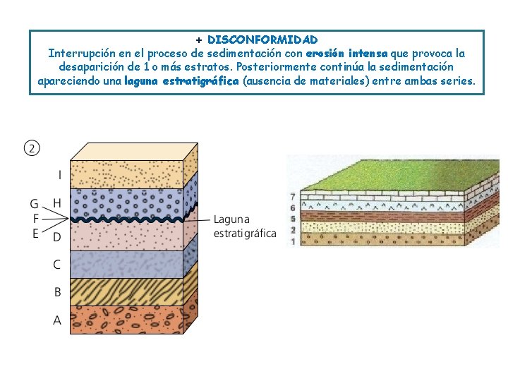 + DISCONFORMIDAD Interrupción en el proceso de sedimentación con erosión intensa que provoca la