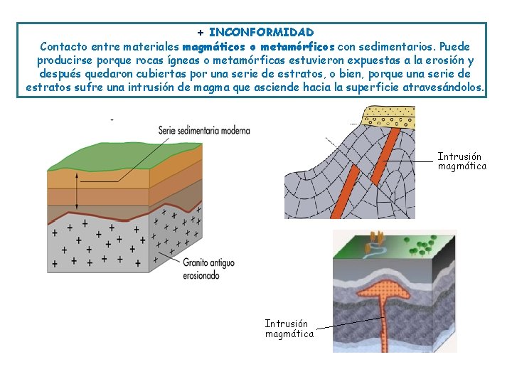 + INCONFORMIDAD Contacto entre materiales magmáticos o metamórficos con sedimentarios. Puede producirse porque rocas