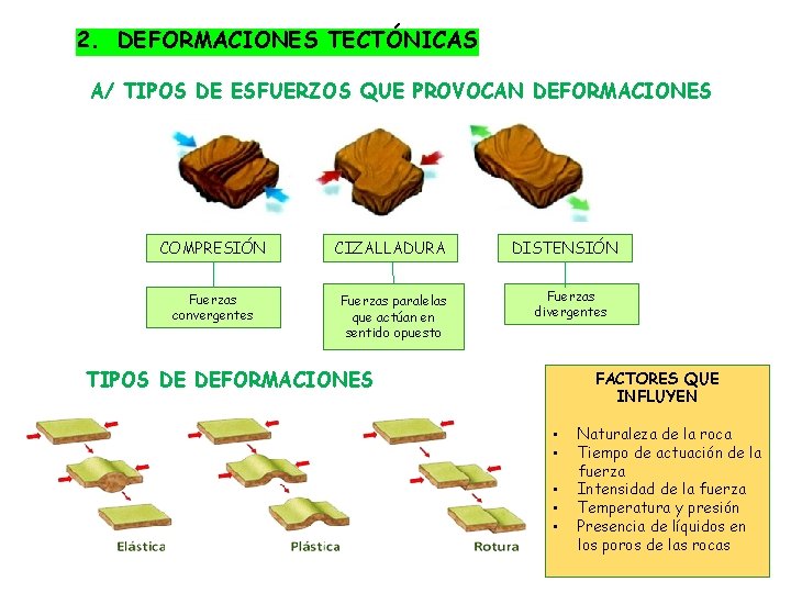 2. DEFORMACIONES TECTÓNICAS A/ TIPOS DE ESFUERZOS QUE PROVOCAN DEFORMACIONES COMPRESIÓN CIZALLADURA Fuerzas convergentes