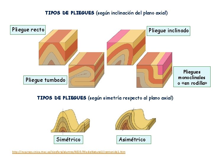TIPOS DE PLIEGUES (según inclinación del plano axial) Pliegue recto Pliegue inclinado Pliegues monoclinales