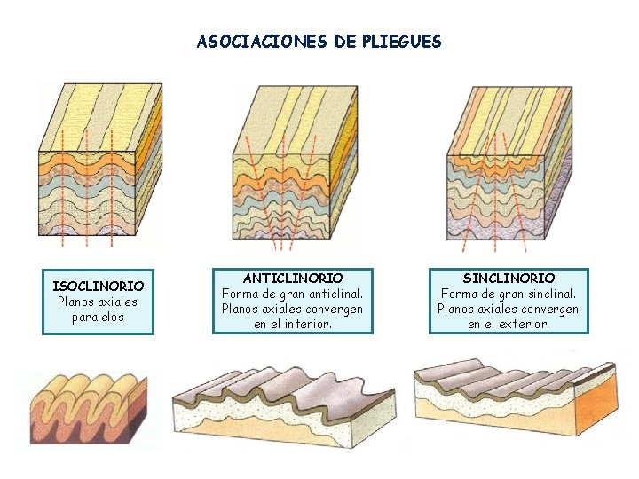 ASOCIACIONES DE PLIEGUES ISOCLINORIO Planos axiales paralelos ANTICLINORIO Forma de gran anticlinal. Planos axiales