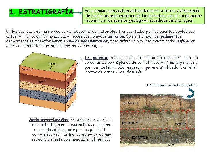 1. ESTRATIGRAFÍA Es la ciencia que analiza detalladamente la forma y disposición de las