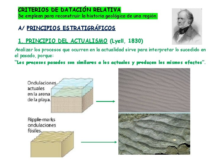 CRITERIOS DE DATACIÓN RELATIVA Se emplean para reconstruir la historia geológica de una región.