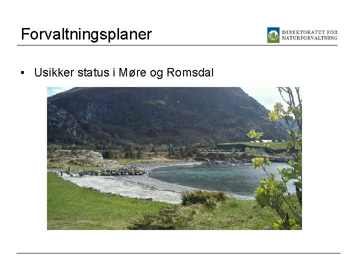 Forvaltningsplaner • Usikker status i Møre og Romsdal 
