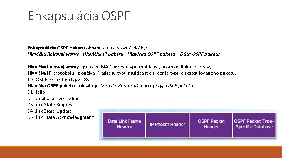 Enkapsulácia OSPF paketu obsahuje nasledovné zložky: Hlavička linkovej vrstvy - Hlavička IP paketu -