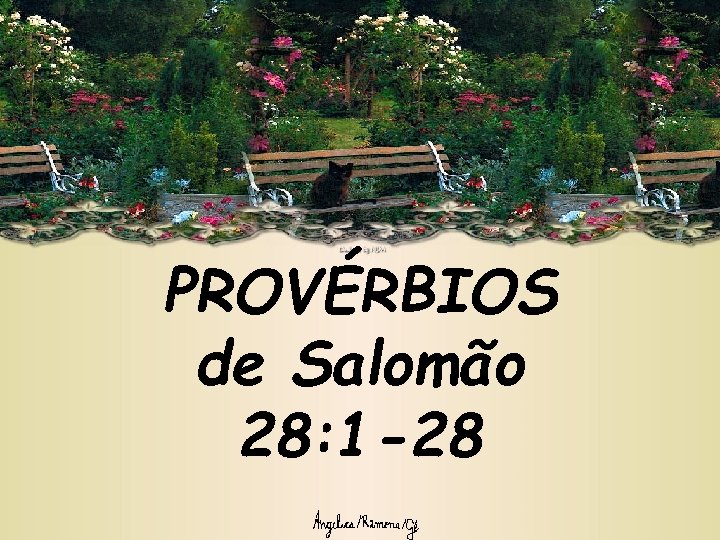 PROVÉRBIOS de Salomão 28: 1 -28 