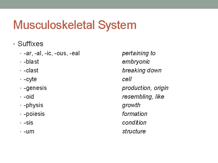 Musculoskeletal System • Suffixes • -ar, -al, -ic, -ous, -eal • -blast • -cyte