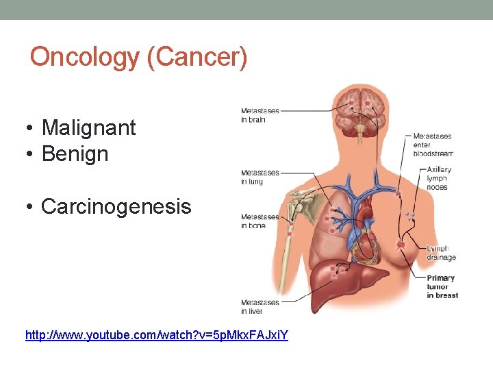 Oncology (Cancer) • Malignant • Benign • Carcinogenesis http: //www. youtube. com/watch? v=5 p.
