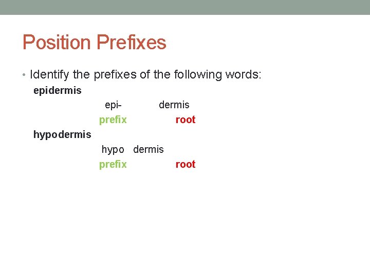 Position Prefixes • Identify the prefixes of the following words: epidermis prefix root hypodermis