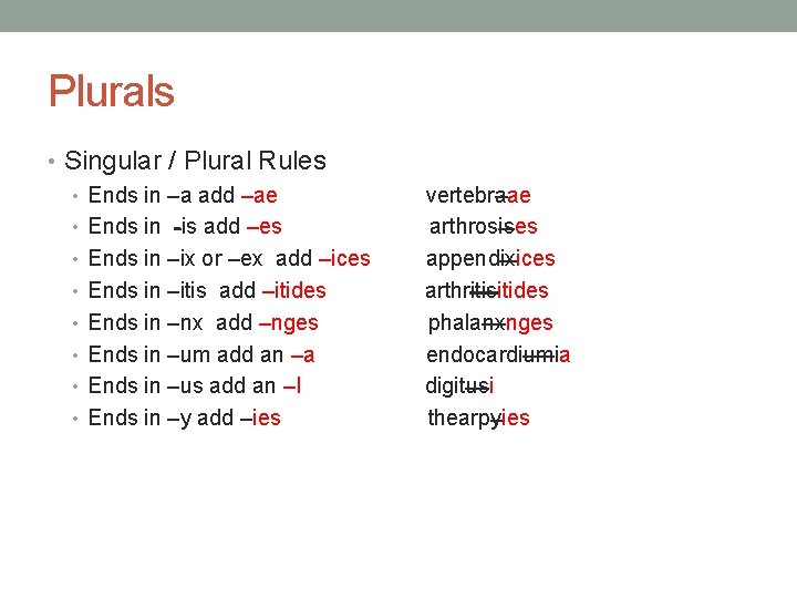 Plurals • Singular / Plural Rules • Ends in –a add –ae • Ends