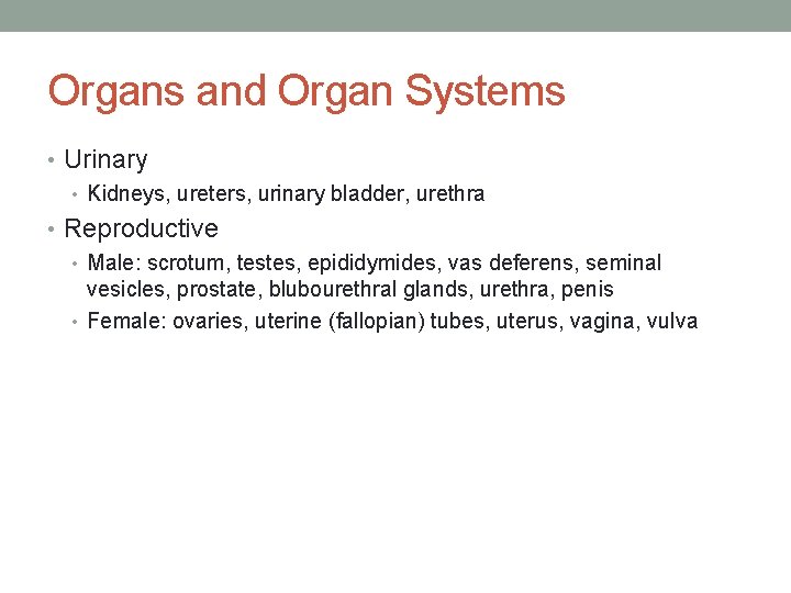 Organs and Organ Systems • Urinary • Kidneys, ureters, urinary bladder, urethra • Reproductive