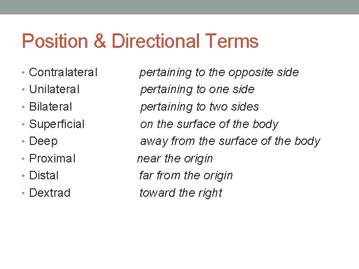 Position & Directional Terms • Contralateral • Unilateral • Bilateral • Superficial • Deep