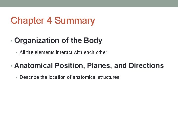 Chapter 4 Summary • Organization of the Body • All the elements interact with