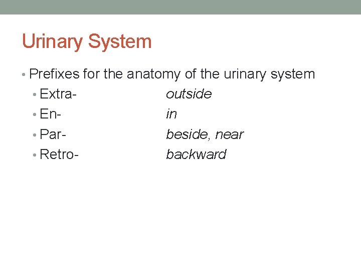 Urinary System • Prefixes for the anatomy of the urinary system • Extra •