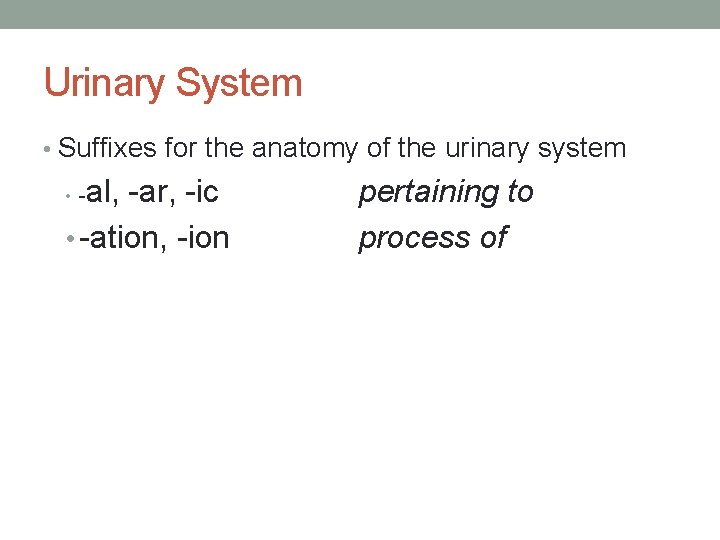 Urinary System • Suffixes for the anatomy of the urinary system al, -ar, -ic