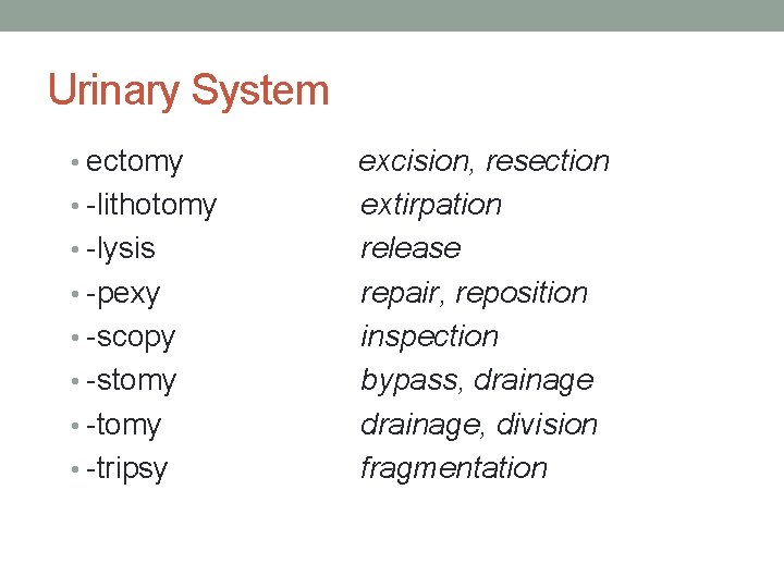 Urinary System • ectomy • -lithotomy • -lysis • -pexy • -scopy • -stomy