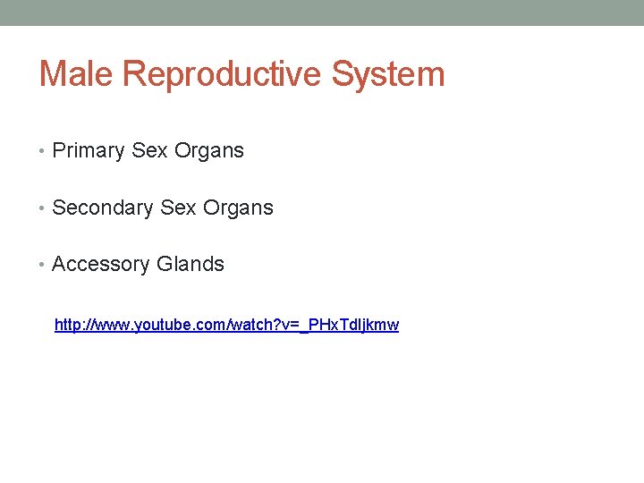 Male Reproductive System • Primary Sex Organs • Secondary Sex Organs • Accessory Glands